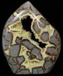 Polished Utah Septarian Sculpture - Amazing Crystal Pockets #62984-1